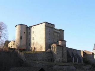 Chateau De Chalmazel Saint-Just-en-Bas Exterior foto